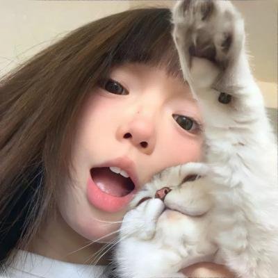 冲浪企鹅