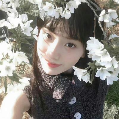 侧车搭档
